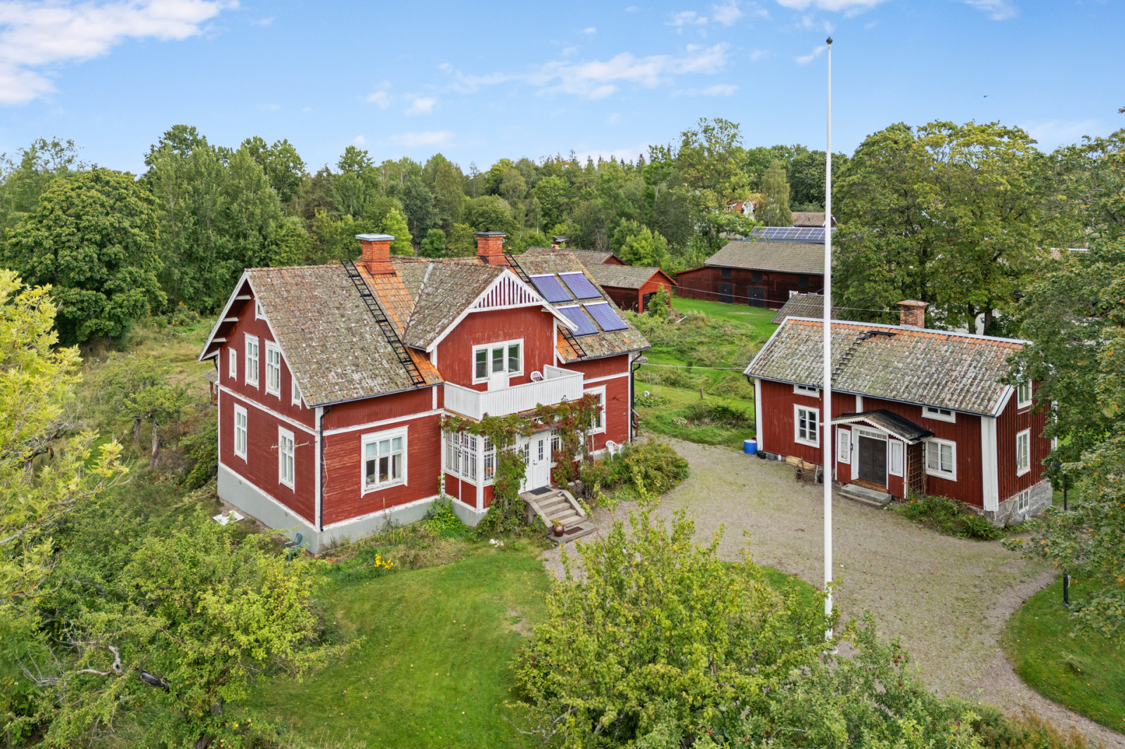 Sunlit Swedish lake with oaks and meadow